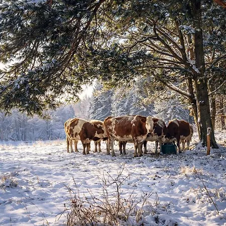 Wiesenidylle Auf Der Weidelandfarm Beelitz