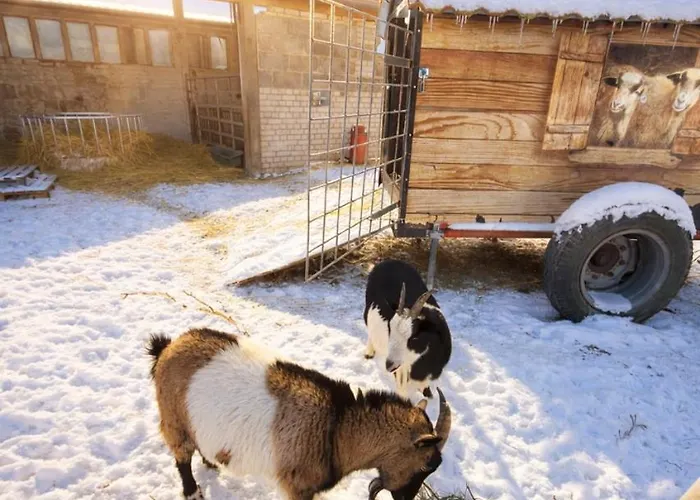 Сasa de vacaciones Wiesenidylle Auf Der Weidelandfarm Beelitz